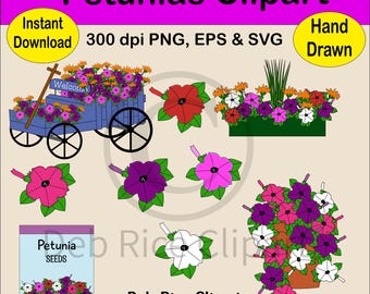 Petunias Clipart - Flowers, Wagon, Planter, PNG, EPS, SVG, Instant Digital Download
