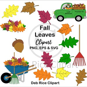 Fall Leaves Clipart - Wheelbarrow, Rake, Maple & Oak Leaves, Acorn, Leaf Removal Pickup Truck, PNG, EPS, SVG