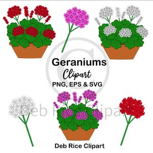 Geraniums Clipart - Potbloemen & Stengels, PNG, EPS, SVG