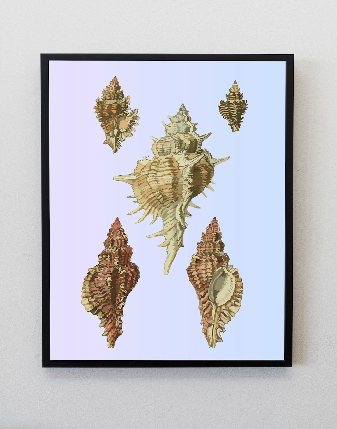 Abstract Shell Posters Shells Poster - Etsy
