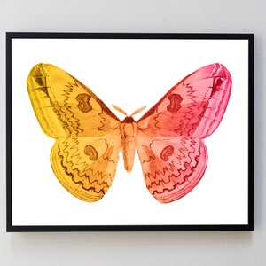 Moth Poster