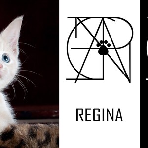 以下が含まれることがあります： 青い目をした白い子猫がカメラを見つめています。子猫は茶色と黒の模様のある表面に座っています。画像は3つのセクションに分かれています。左側のセクションには子猫が映っています。中央のセクションには、「REGINA」という文字の下に白黒のロゴが表示されています。右側のセクションには、「REGINA」という文字の下に白いロゴが表示されています。