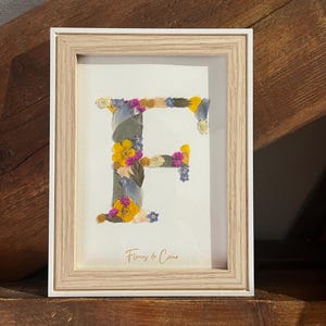 Letra F del herbario enmarcado