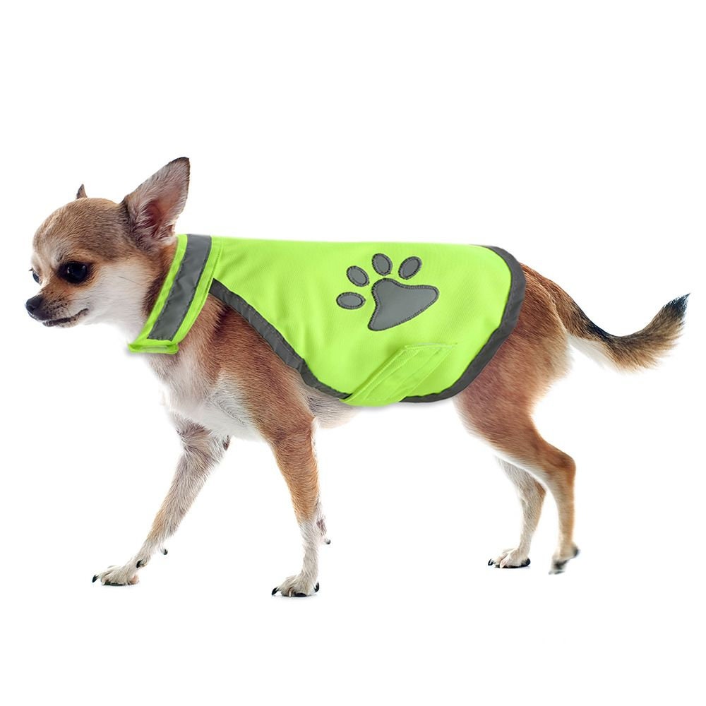 Cavalier King Charles Dog High Visibility Vest Nylon Comfortable Hiviz