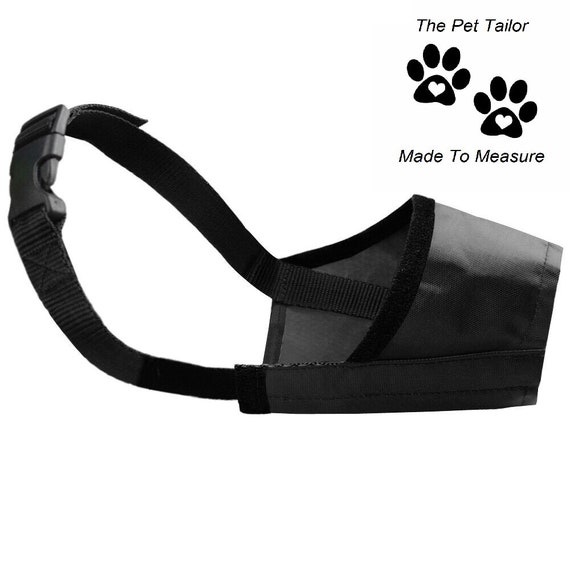 Muzzle for toy clearance poodle