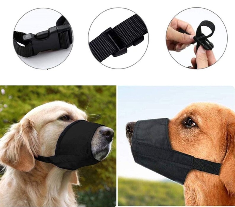 Cavalier King Charles Dog Muzzle Blue Nylon Comfortable Anti Bite