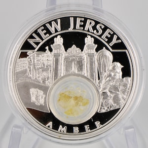 2022 Mesa Grande Treasures of the United States - New Jersey, 1 Oz .999 Silver Proof Coin w/ Natural Amber, Box & COA - Mintage of 500 Pcs