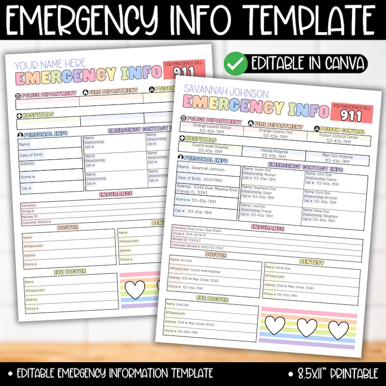Emergency Information Sheet Form Template, Emergency Info Contact List, Important Documents Just In Case Binder, Babysitter Caregiver Notes image 1