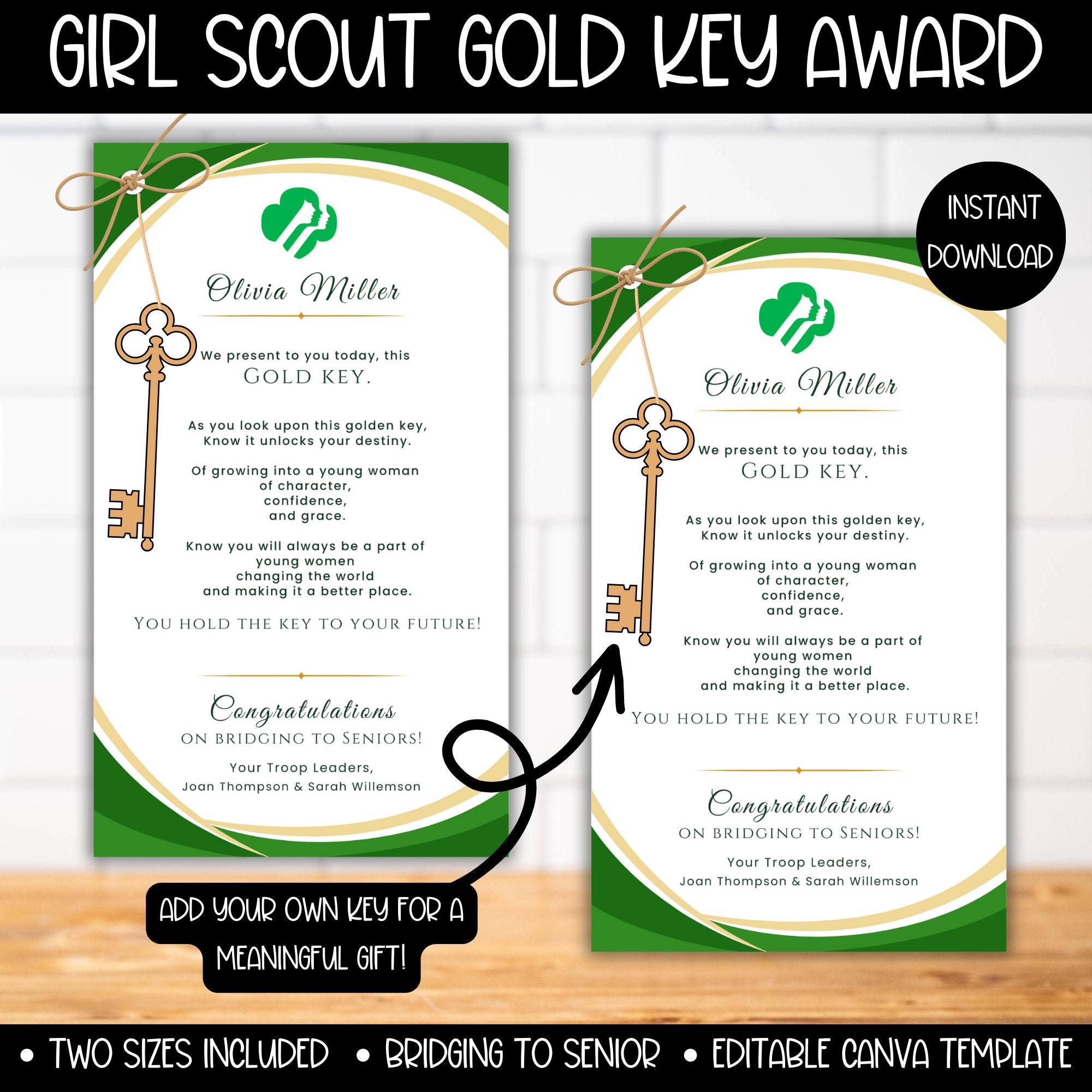 Girl scout best sale gold award gifts