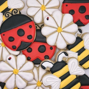 Spring Cookies, Sip and See Cookies, Baby Shower Cookies, Birthday Cookies, Personalized Cookies, Ladybug Cookies, Bee Cookies