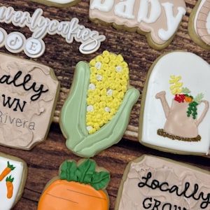 Locally Grown Baby Shower Cookies, Little Sprout Cookies, Carrot Cookies, Garden Baby Shower Cookies, Baby Shower Cookies