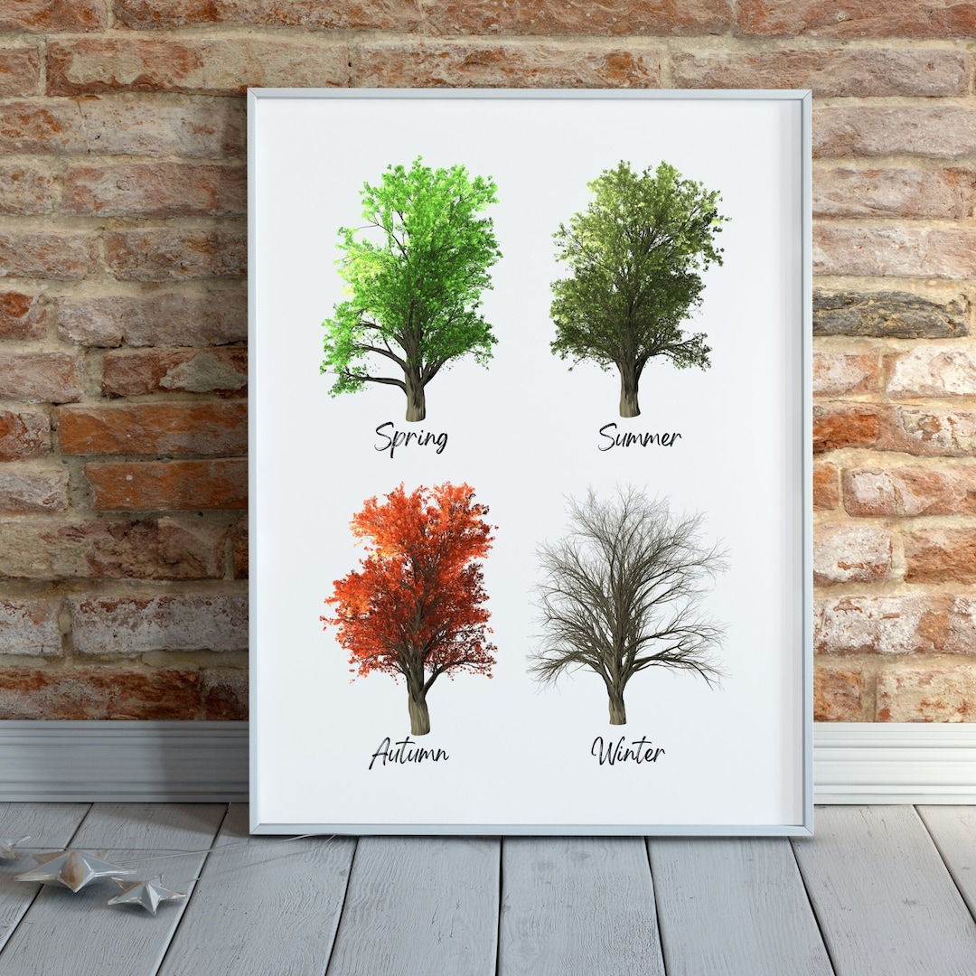 Four Seasons Tree Instant Printable Poster. Digital Printable Wall Art ...
