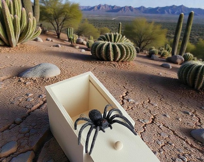 IT'S SO FUNNY!  Jumping Spider Box. No batteries needed.