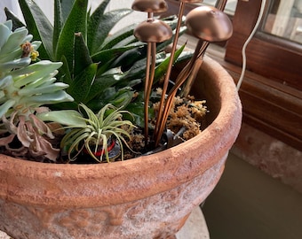 Copper  MUSHROOM PLANT DECOR