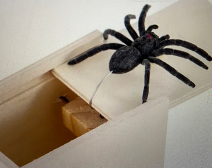 IT'S SO FUNNY!  Jumping Spider Box. No batteries needed.