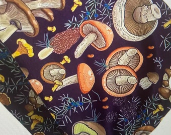 Magical Mushroom Beanie