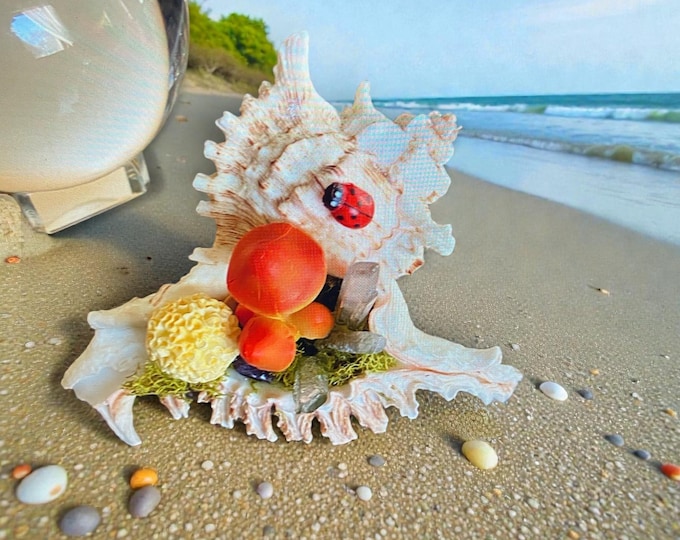 CONCH Shell and MUSHROOM ART:  Collectible Art & Stand