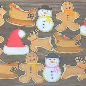 Christmas Cookie Set – Hand-Decorated Sugar Cookies – Gingerbread, Reindeer, Snowman & Sleigh