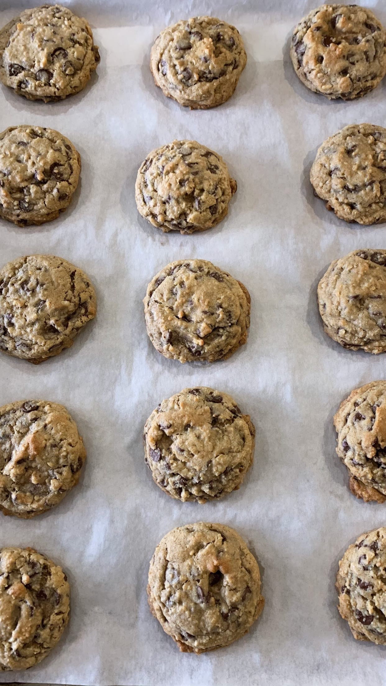 Chocolate Chip Walnut Cookie Recipe Etsy