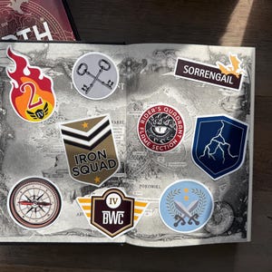 Fourth Wing | Iron Flame Inspired Flight Jacket Patch Stickers