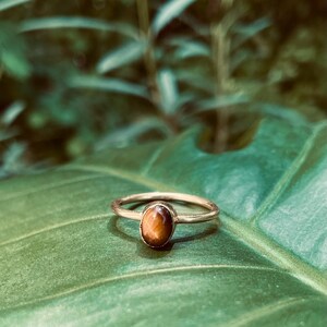 Pu&ograve; includere: Un anello dorato con una pietra occhio di tigre ovale e marrone. L'anello &egrave; posto su una foglia verde, con un sfondo di foglie verdi sfocate. La fascia dell'anello &egrave; sottile e delicata, mettendo in risalto i toni caldi della gemma.