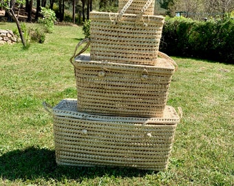 Palm leaf storage trunk