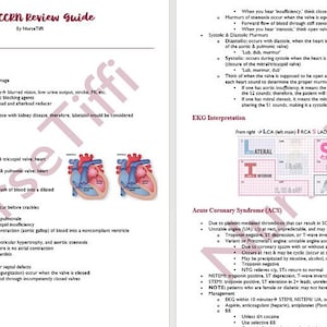 Adult CCRN Comprehensive Review, Digital File