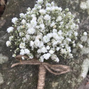 Fresh gypsophila - baby’s breath corsage boutonnière - Flowers - Floral Arrangements - Wedding Flowers