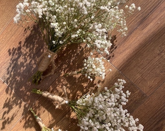 Gypsophila secado al aire / aliento de bebé / flores secas / Gypsophila secado blanco preservado - Flores de aliento de bebé - 10 tallos