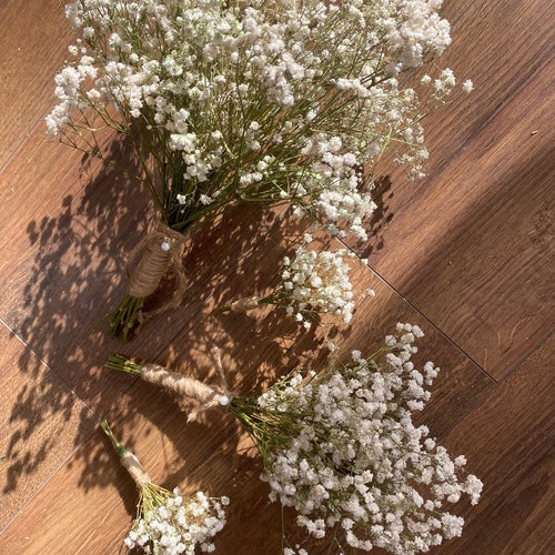Air dried Gypsophila | baby’s breath | dried flowers / Preserved White Dried Gypsophila - Baby's Breath Flowers - 10 Stems