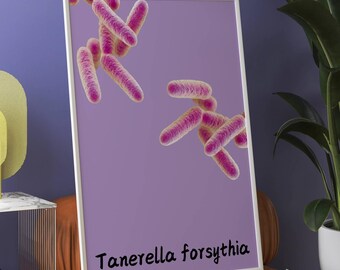 Dental Office Decor Medical Art Print Bacteria poster Microbiology decor biotech gift biology poster science gift dental wall hanging dental