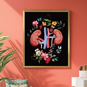 Human Anatomy Kidney Print Medizinstudierende Geschenk Büro Dekor Ultraschall Lehrer Geschenk Arzt Büro Kunst Krankenschwester Praktiker Geschenk Wissenschaft