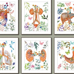 Anatomy Print Set of 6 Doctor Gift Science Wall Art Classroom Decor ...
