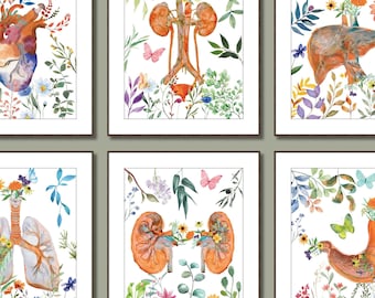 Anatomy Print Set of 6 Doctor Gift Science wall art classroom decor Floral Watercolor Medical Art Anatomical Organs clinic wall decor office
