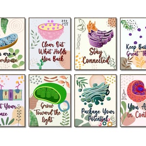 Puede incluir: Un conjunto de ocho láminas educativas de pared con orgánulos celulares biológicos y textos motivadores. Cada lámina muestra una ilustración colorida de una parte de la célula, incluyendo mitocondrias, lisosomas y núcleos, junto a frases como You are a powerhouse y Grow Toward the Light.