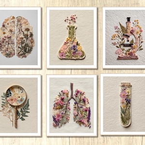 Puede incluir: Seis impresiones artísticas botánicas enmarcadas. Las impresiones representan un cerebro, un matraz, un microscopio, una lupa, pulmones y un tubo de ensayo, todos compuestos de flores secas de varios colores. El arte está sobre un fondo neutro.