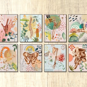 Conjunto de arte de parede de quiropraxia com 8 obras de arte ortopédicas de fisioterapia, arte de anatomia humana, pôster de escritório, decoração, medicina esportiva, ciência, arte médica