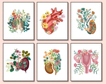 Menselijke anatomie Art Prints anatomie poster kliniek decor medische muur foto's schoolverpleegkundige kantoor decor medische student cadeau anatomische organen