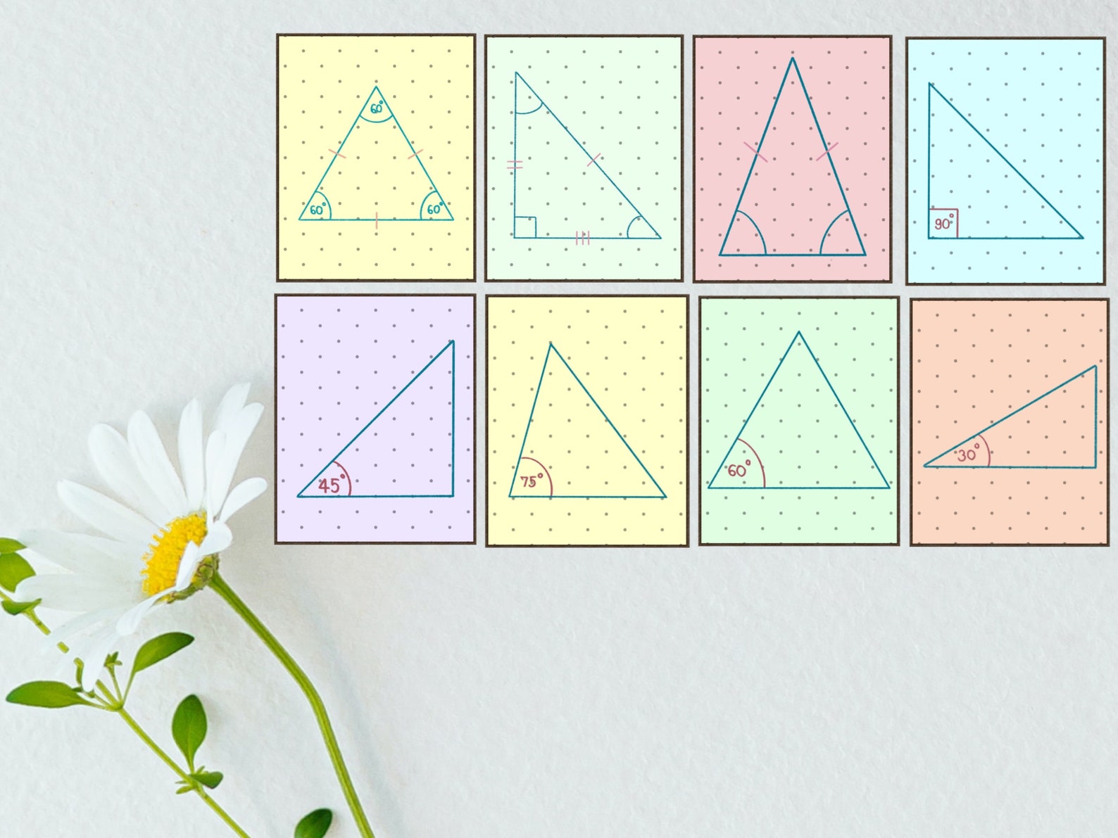 Math Class Gallery Wall Classroom Decor High School Middle - Etsy