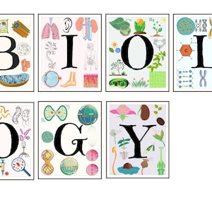Pared de la galería de clases de biología, decoración del aula, escuela secundaria, arte científico, clase de biología, arte en el aula, artes de la sala de niños, biología