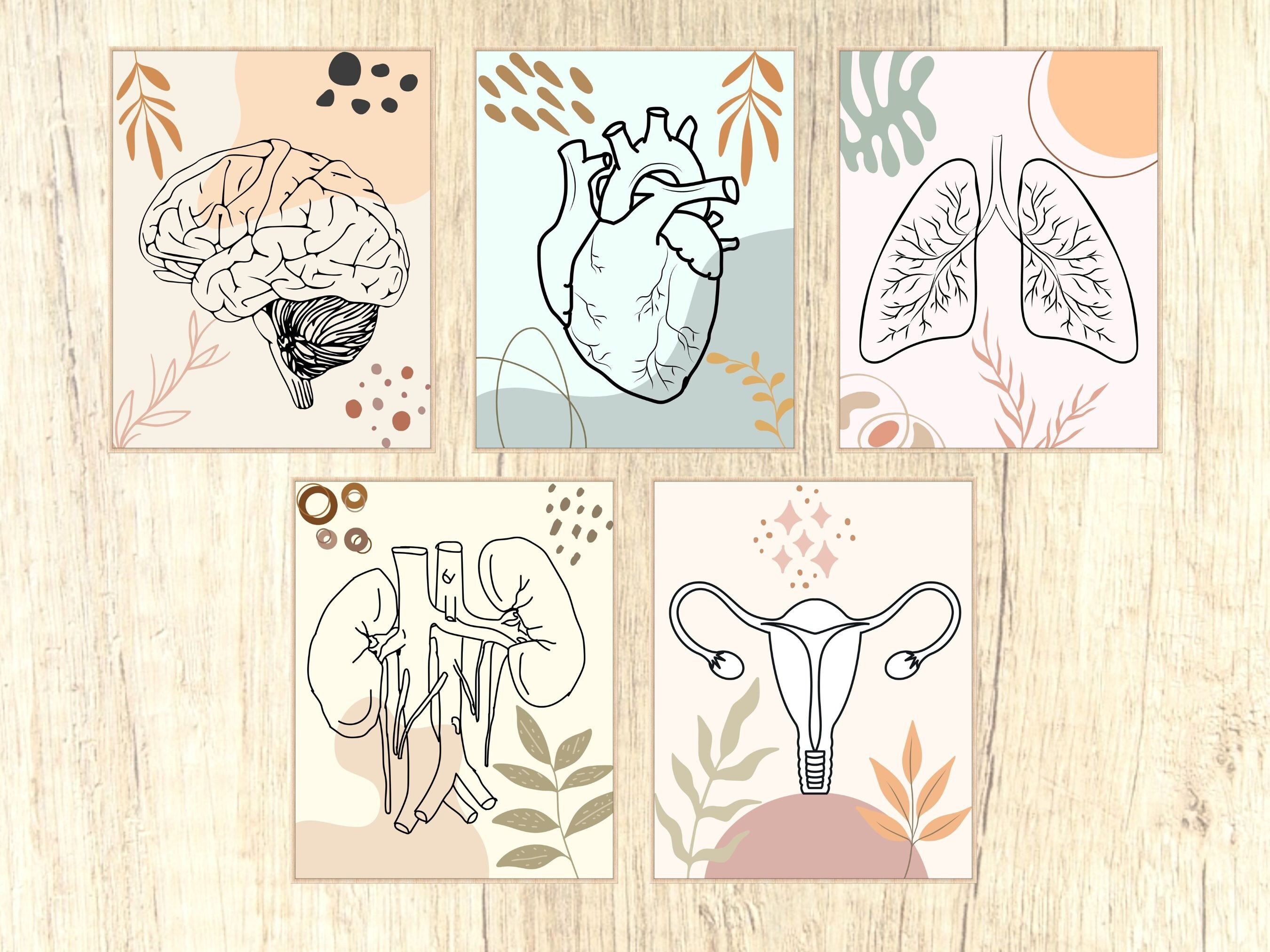 Science Prints Science Wall Prints Human Anatomy Paintings Boho Watercolor - Etsy