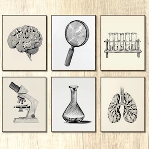 Science Class Posters set of 6 black and white Minimalist Print Digital Download classroom decor science gift bedroom decor apartment decor