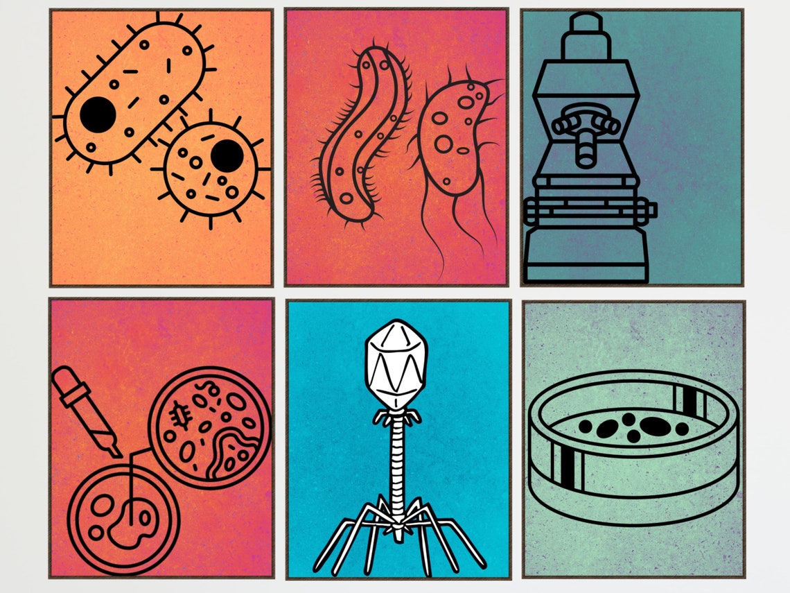 Microbiology Collection Bacteria Art Science Science Art Etsy