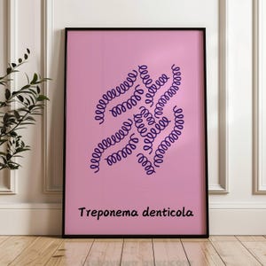 May include: A pink poster with a dark purple illustration of a Treponema denticola bacteria. The poster has the text "Treponema denticola" at the bottom.
