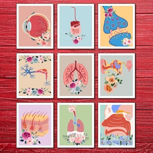 Science Wall Prints Classroom Wall Art Biology posters Science Class Gallery Wall set science bulletin board collage decor dorm wall art set