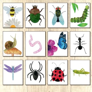 Bugs Print Bundle acuarela Insect Prints Set de 12 Guía botánica Wall Prints decoración de la habitación del niño pequeño Bug Posters Insect art educativo