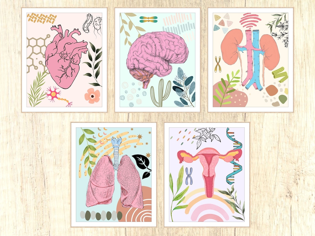 Science Prints Science Wall Prints, Human Anatomy Paintings, Watercolor Print, High ...
