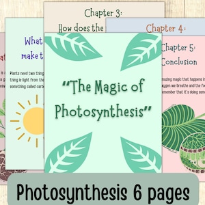 Può includere: Un set di sei pagine per un libro per bambini sulla fotosintesi. Le pagine sono illustrate con disegni colorati di piante, il sole e un cloroplasto. Il testo sulle pagine include il titolo "La magia della fotosintesi" e i titoli dei capitoli "Cosa fa il cibo?", "Come fa la pianta il cibo?", "Cosa succede al cibo?" e "Conclusione".