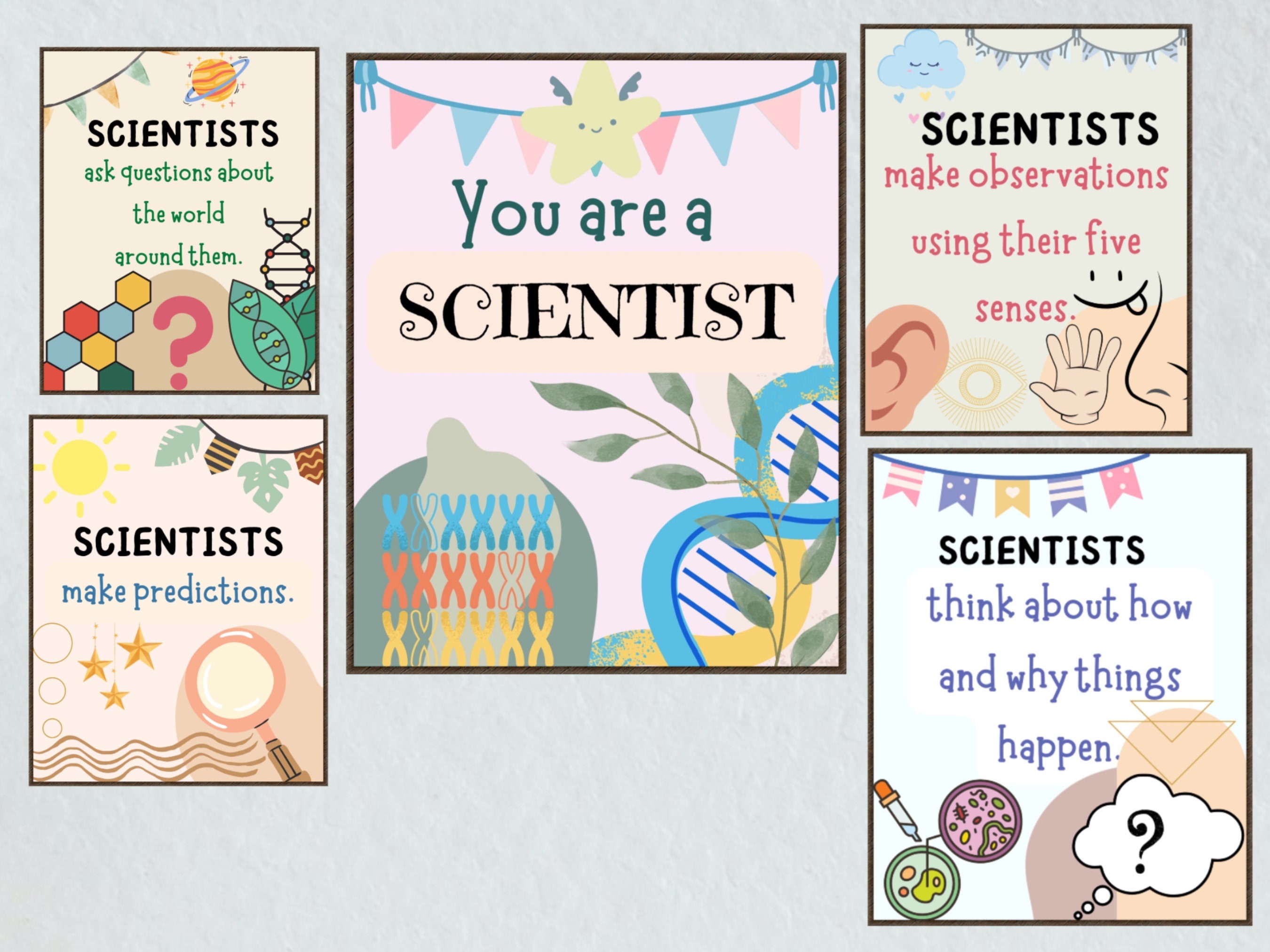 Science Class Gallery Wall, Classroom Decor, High School Middle School ...