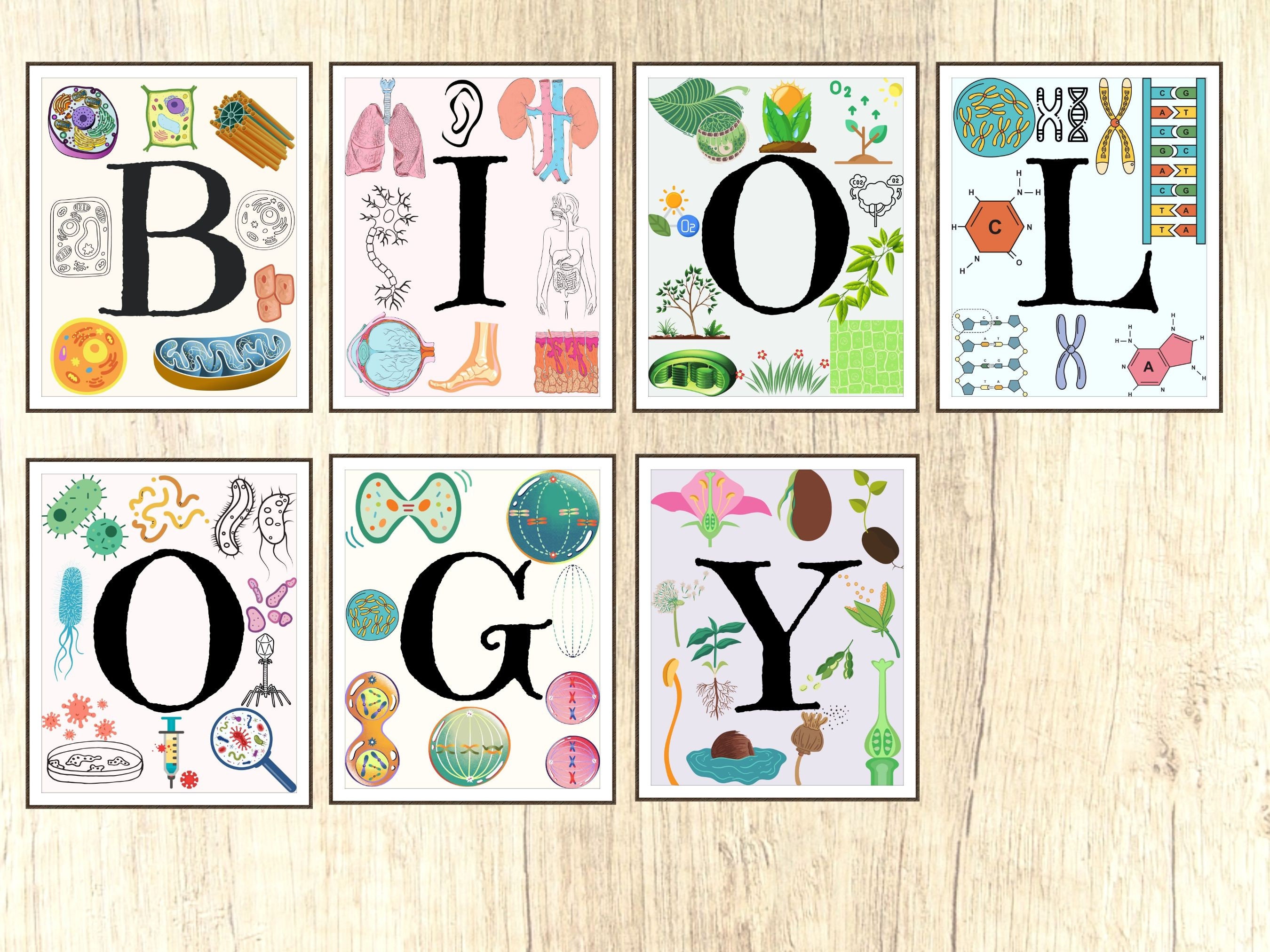 Biology Class Gallery Wall, Classroom Decor, High School Middle School ...